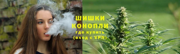 гашик Арсеньев