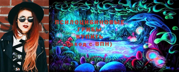 гашик Арсеньев
