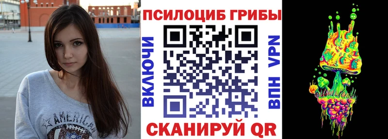 сколько стоит  Сосновка  Галлюциногенные грибы MAGIC MUSHROOMS 